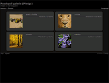 Tablet Screenshot of galerie.puschpull.org